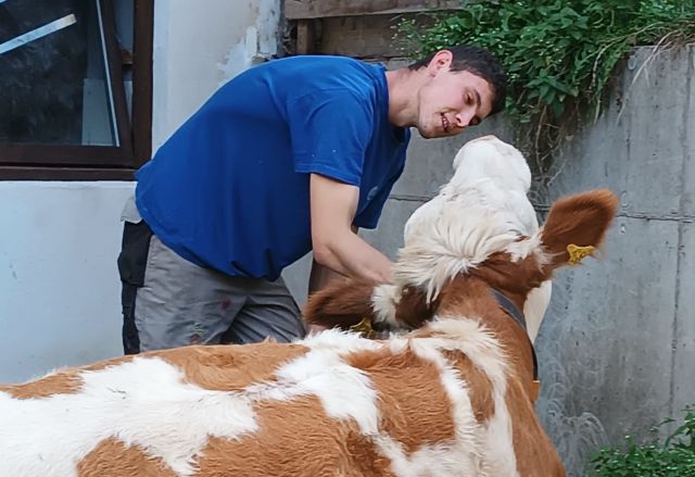 Immagini: Maso La Flù a San Martino in Badia