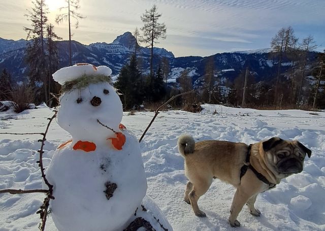 Immagini: Maso La Flù a San Martino in Badia