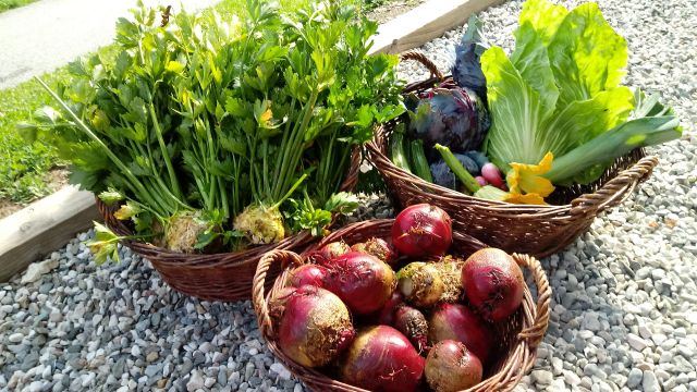Immagini: Maso La Flù a San Martino in Badia